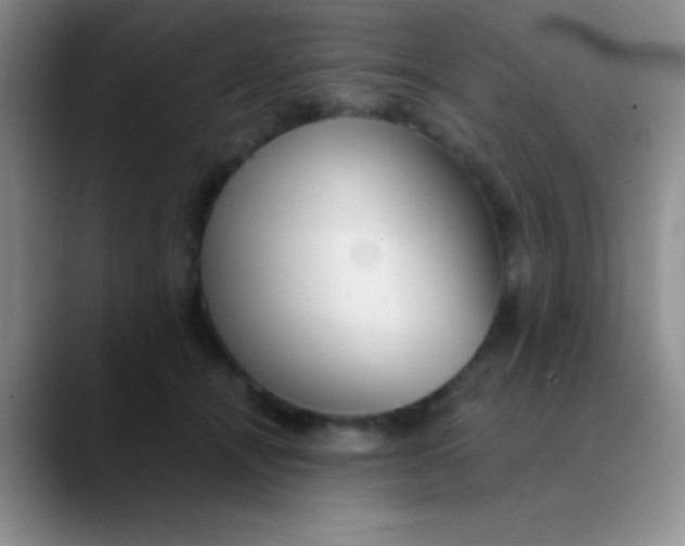 X0000089890464200707192017