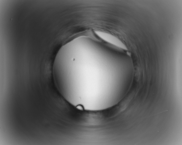 X0000089890466200707192017