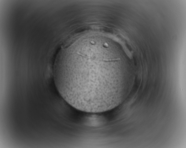 X0000089890467200707192017