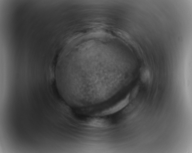 X0000089890471200707192017