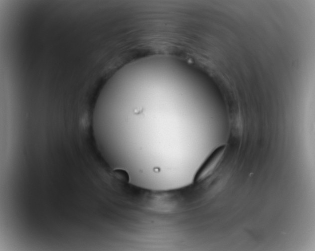 X0000089890472200707192017