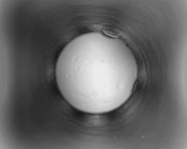 X0000089890473200707192017