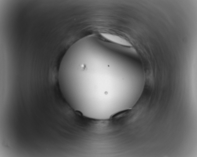 X0000089890474200707192017