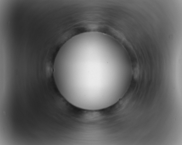 X0000089890476200707192017