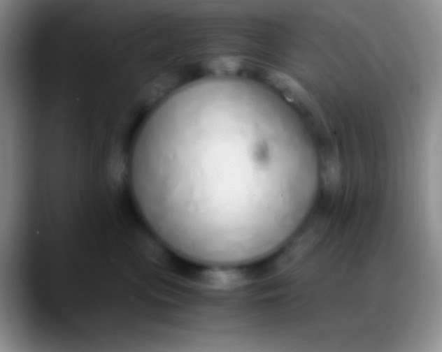 X0000089890477200707192017