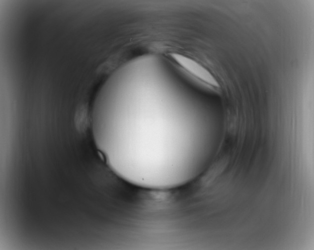 X0000089890478200707192017