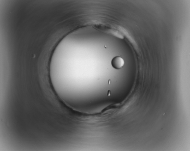 X0000089890481200707192017