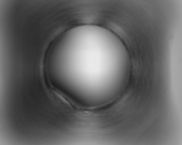 X0000089890482200707192017