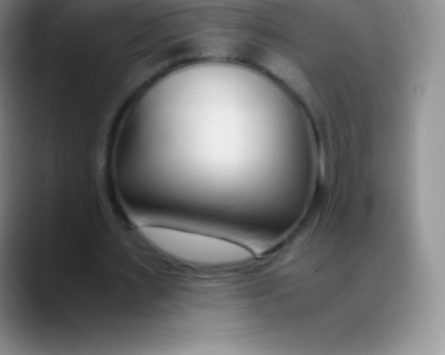 X0000089890483200707192017