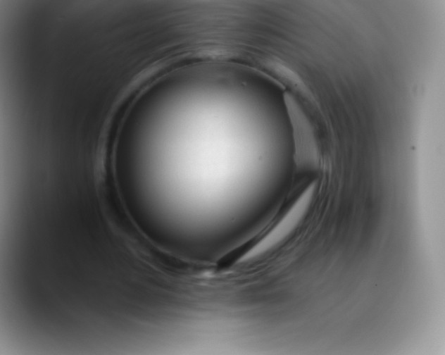 X0000089890484200707192017