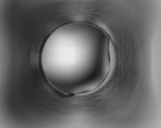 X0000089890485200707192017