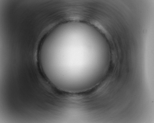 X0000089890486200707192017