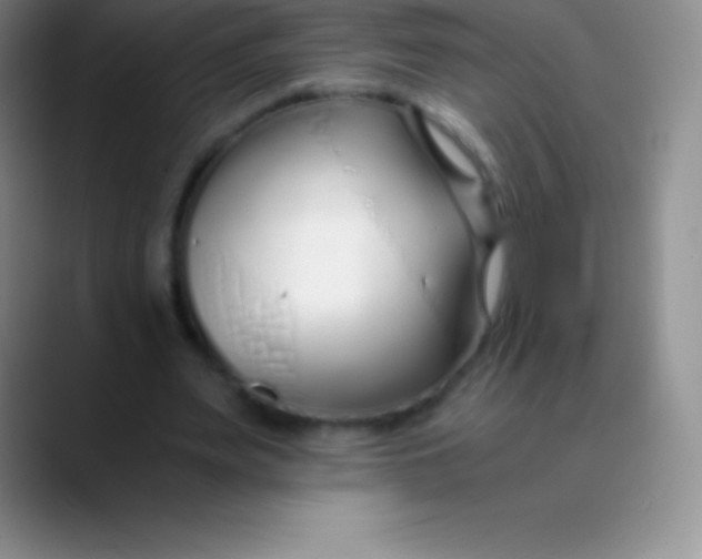 X0000089890487200707192017