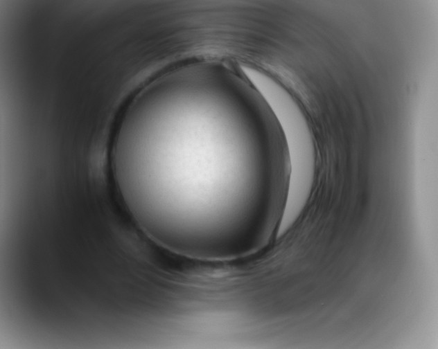 X0000089890488200707192017