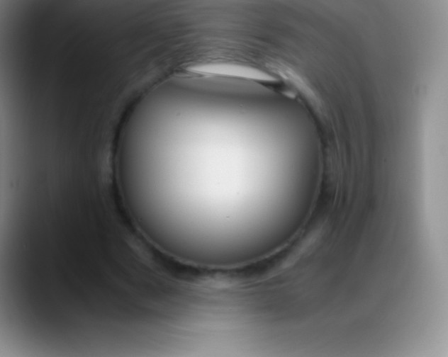 X0000089890489200707192017