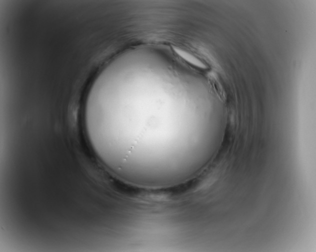 X0000089890491200707192017