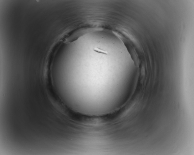 X0000089890492200707192017