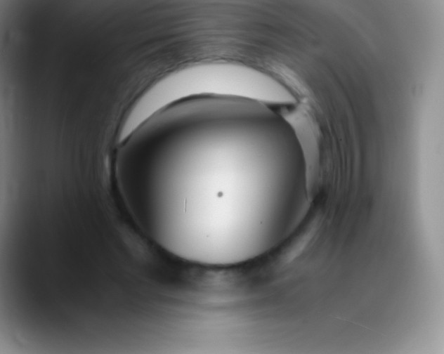 X0000089890493200707192017