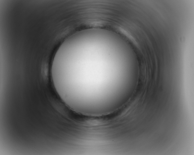 X0000089890494200707192017