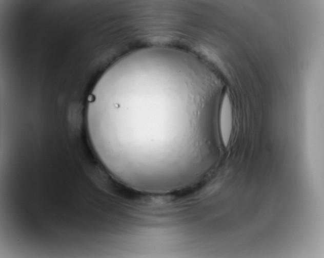 X0000089890495200707192017