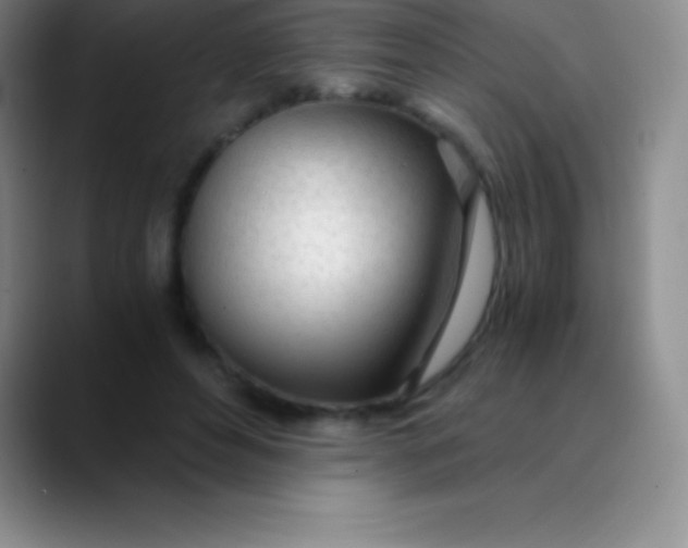 X0000089890496200707192017