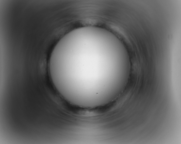 X0000089890498200707192017