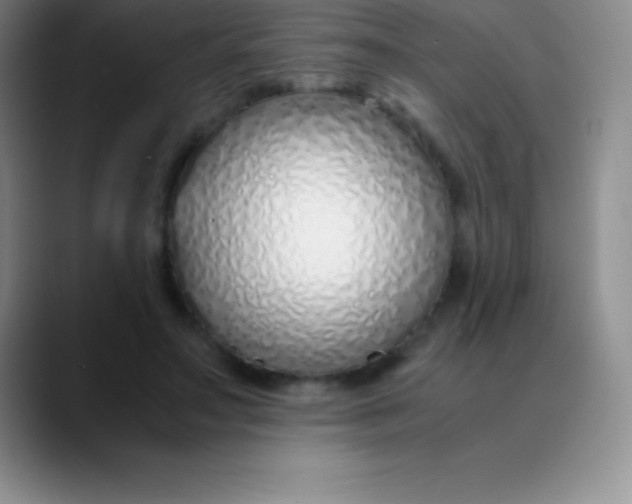 X0000089890499200707192017