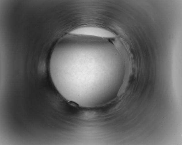 X0000089890500200707192017