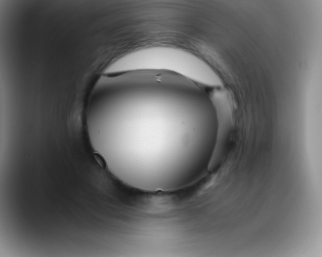 X0000089890501200707192017