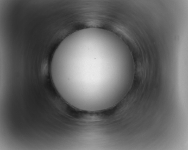 X0000089890502200707192017