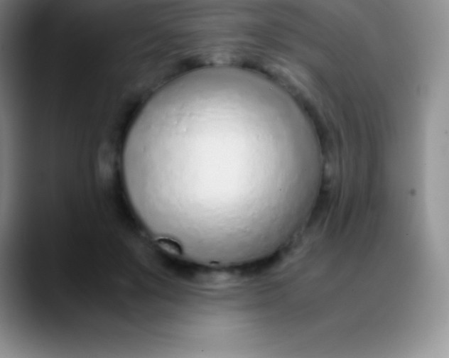 X0000089890503200707192017