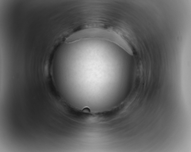 X0000089890504200707192017