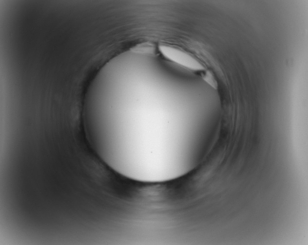 X0000089890505200707192017