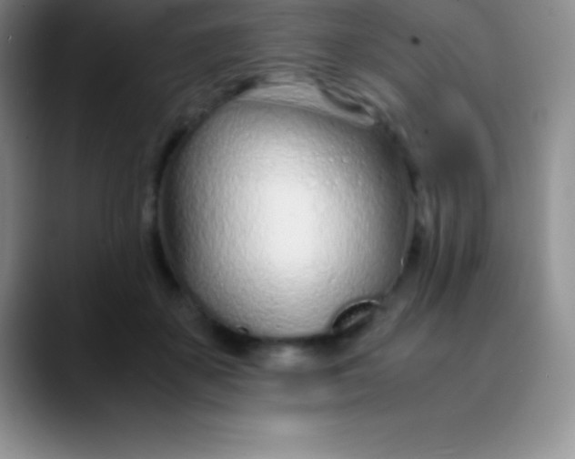 X0000089890507200707192017