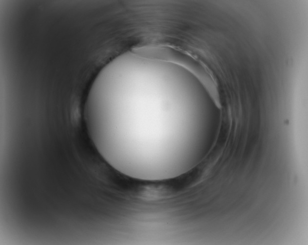 X0000089890508200707192017