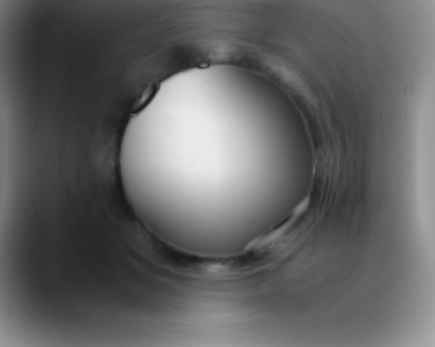 X0000089890509200707192017