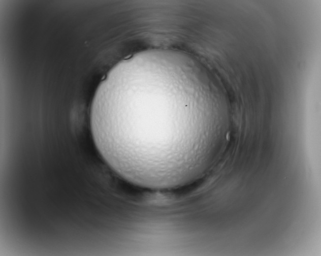 X0000089890511200707192017