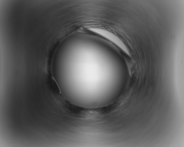 X0000089890512200707192017