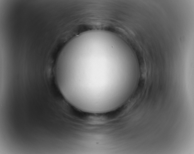 X0000089890515200707192017