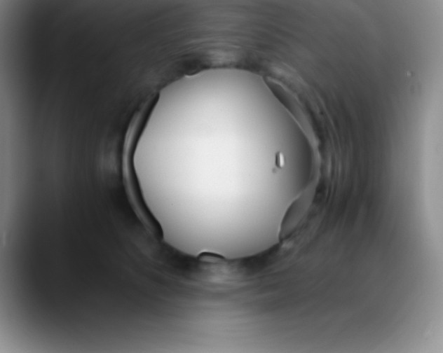 X0000089890516200707192017