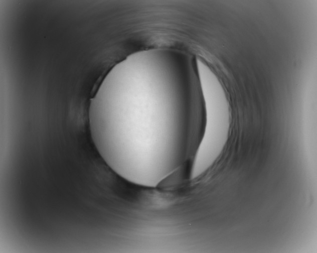 X0000089890517200707192017