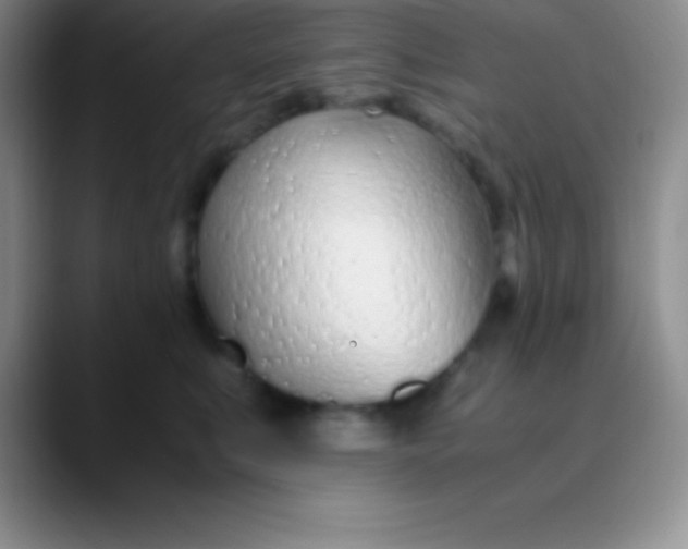 X0000089890519200707192017