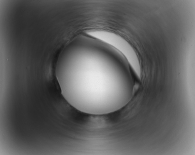 X0000089890520200707192016