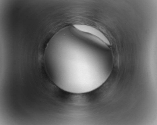 X0000089890521200707192016