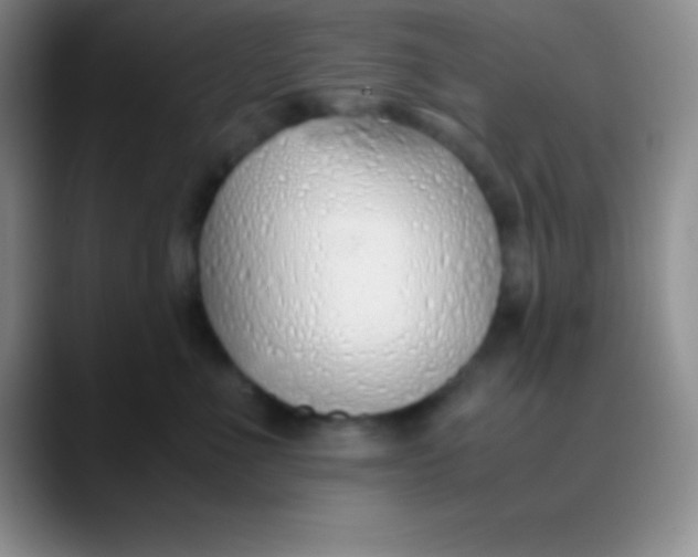 X0000089890523200707192016