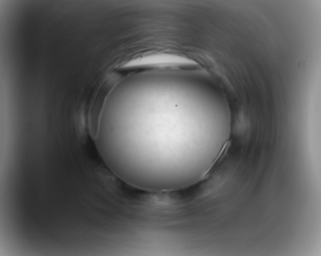 X0000089890524200707192016