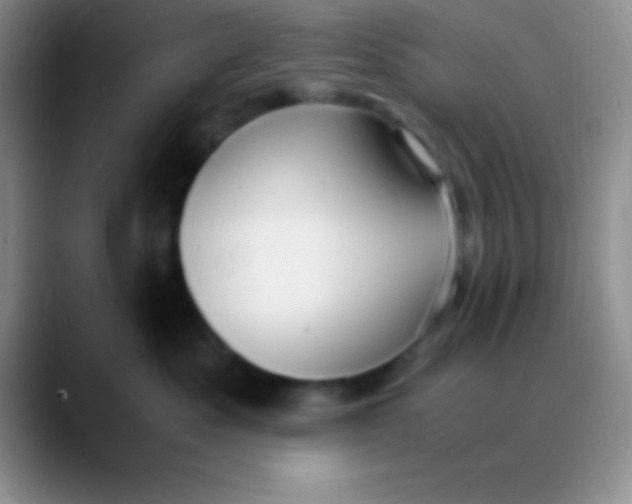 X0000089890525200707192016