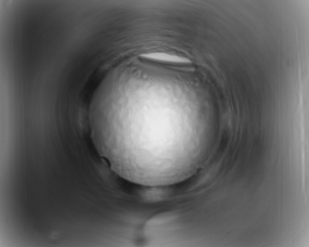 X0000089890527200707192016