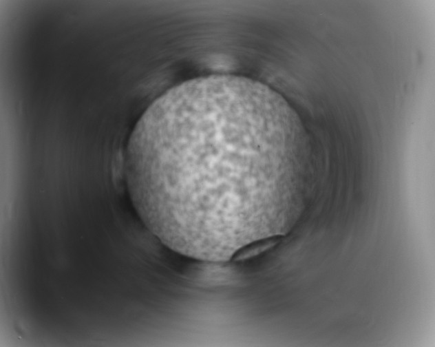 X0000089890528200707192016