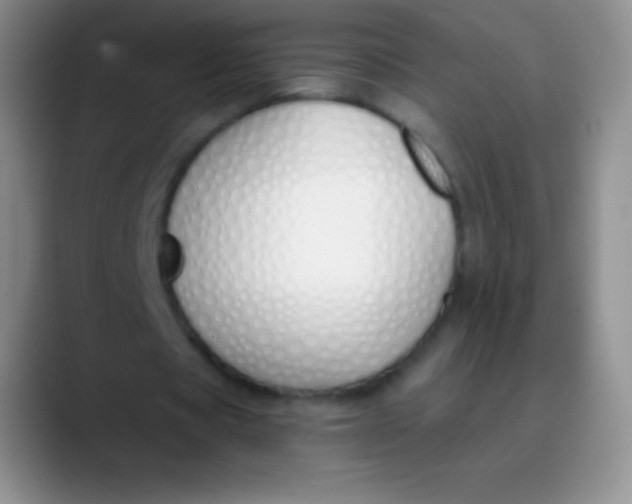 X0000089890529200707192016